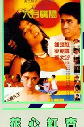 日本少妇一区二区